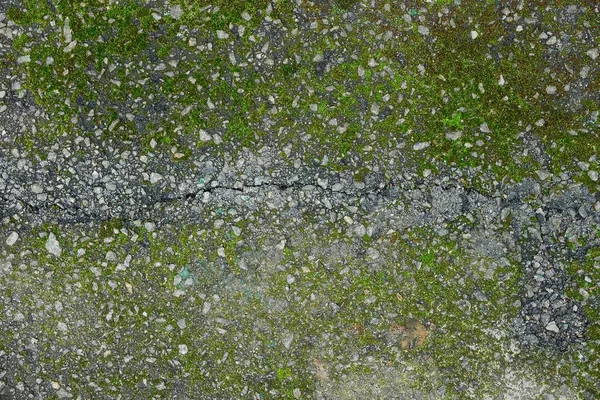 Texture Verde Grigia Una Crepa Sull Asfalto Muschio Verde — Foto Stock