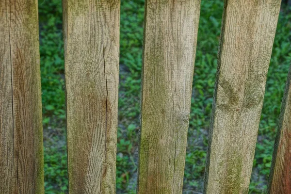 gri yeşil ahşap doku sokakta çit panoları