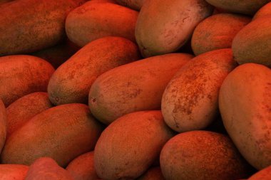 uzun kırmızı kahverengi kavun doğal bitkisel doku