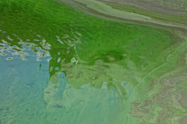 Зеленая Текстура Грязной Воды Резервуаре — стоковое фото