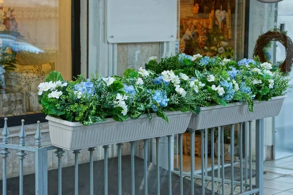 Dos Macetas Blancas Con Vegetación Verde Decorativa Flores Las Varillas — Foto de Stock