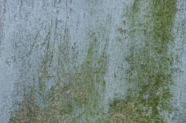 gri yeşil metal doku eski püskü duvar