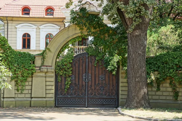 Hnědá Iron Gate Kovaný Vzorem Betonový Plot Zarostlé Zelenou Vegetací — Stock fotografie