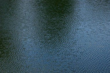 su ve dalgalar su birikintisi üzerinde gri yeşil doku