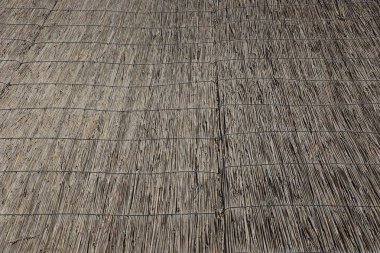 Çatıda kuru reed gri bitkisel doku