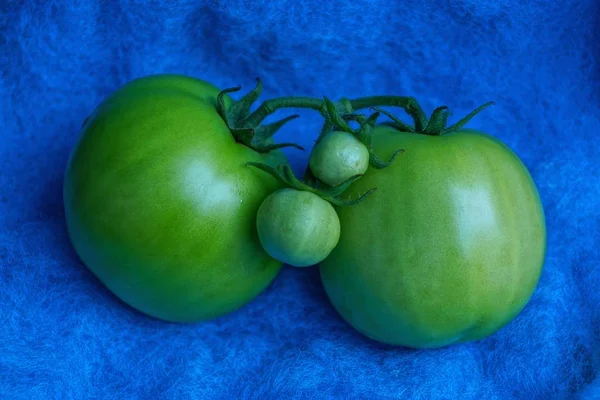 Zielone Pomidory Świeże Leżą Niebieski Tkaniny Wełniane Materii — Zdjęcie stockowe