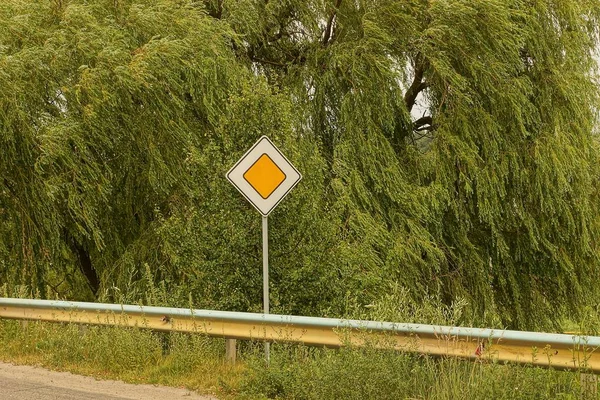 Road Sign Hoofdweg Voor Groene Takken Straat — Stockfoto