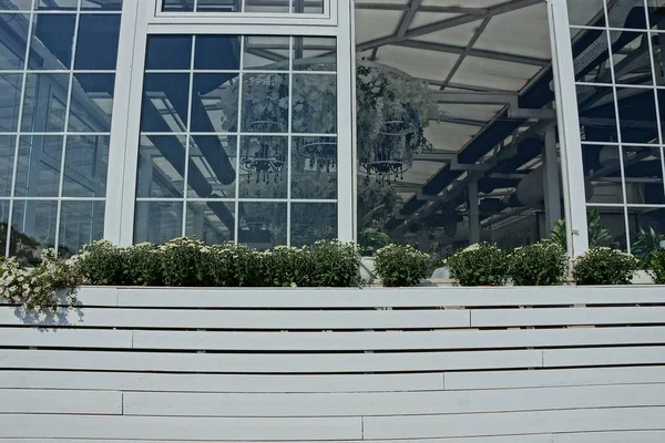 Große Weiße Holzvase Mit Dekorativer Vegetation Offenen Fenster — Stockfoto