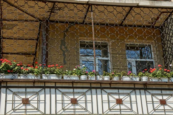 Gran Balcón Con Parrilla Hierro Con Macetas Flores Decorativas — Foto de Stock