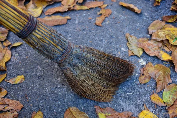 Brown Broom Sweeps Fallen Leaves Asphalt — Stock Photo, Image