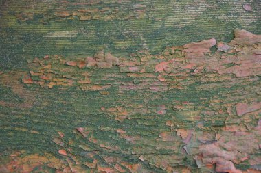 kahverengi gri ahşap doku eski püskü boya ile kirli kurulu