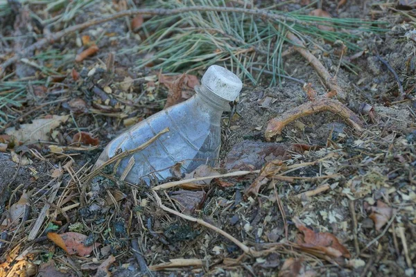 Oude Grijze Plastic Fles Het Zand Naalden Het Bos — Stockfoto