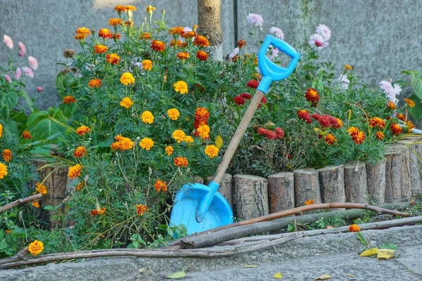 Plastikowe Scoop Stoi Kwiat Łóżko Roślinnością Kwiatami — Zdjęcie stockowe