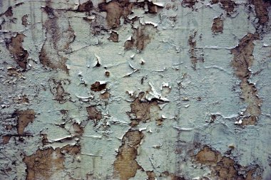 Ahşap bir kapı üzerinde eski beyaz boya adet