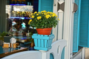 Beyaz ahşap bir çit üzerinde mavi bir kutu içinde sarı çiçekli kahverengi vazo