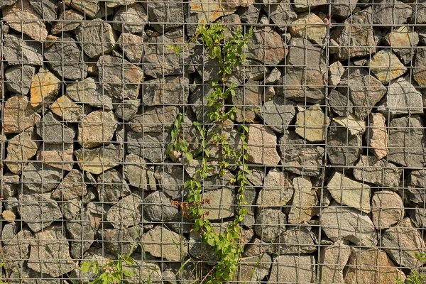 Parte Cerca Malla Metálica Piedras Cubiertas Vegetación Verde — Foto de Stock