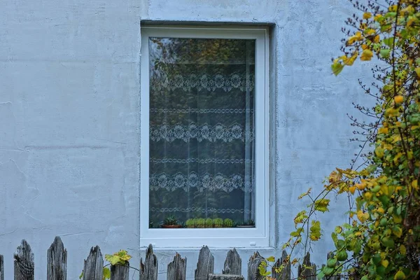 Venster Met Grijze Gordijnen Cactussen Vensterbank Betonnen Muur Achter Het — Stockfoto