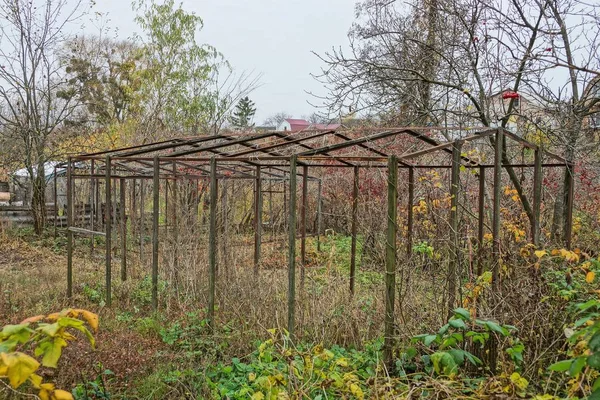 Frame Old Empty Greenhouse Overgrown Garden — Stock Photo, Image