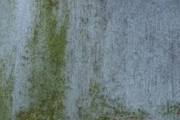 Текстура Сірого Зеленого Каменю Брудної Бетонної Стіни — стокове фото