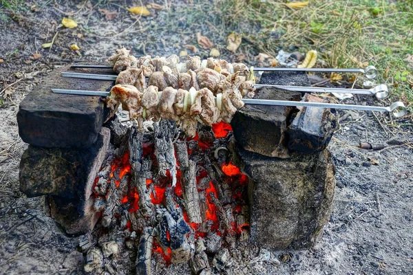 Fried pieces of meat on iron skewers over heat