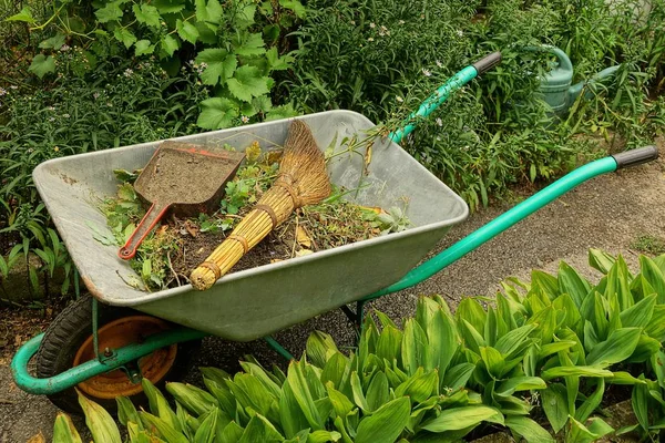 Järn Skottkärra Med Skräp Står Väg Snår Grönska Och Växter — Stockfoto