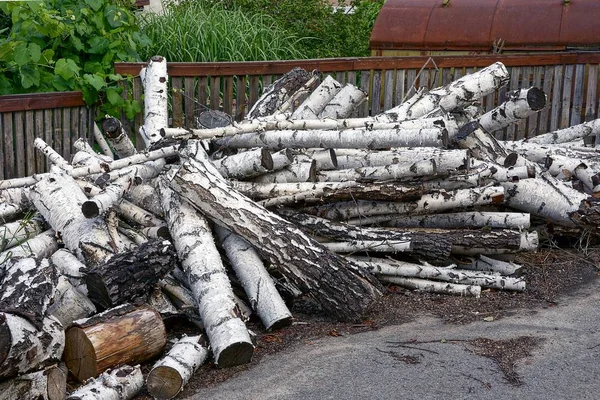 Bunch Birch Logs Street Yard — Stock Photo, Image