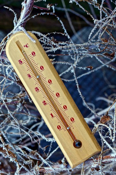 A wooden thermometer on dry branches in frost and snow