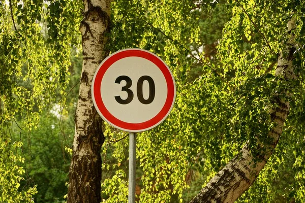 Sign Rychlostního Omezení Silnice Stromu Bříza — Stock fotografie