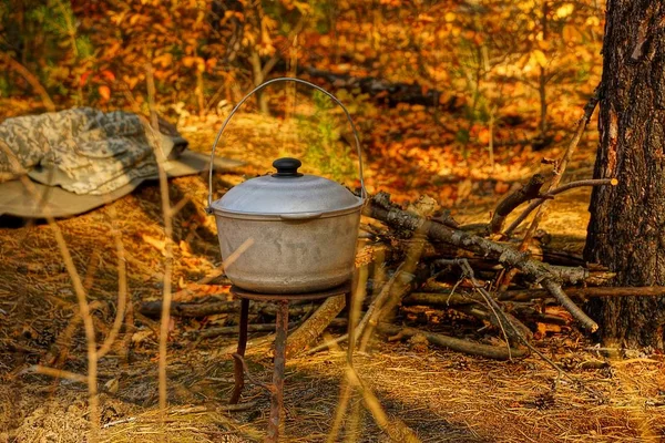 Великий Сірий Капелюх Кришкою Природі Осінньому Лісі — стокове фото