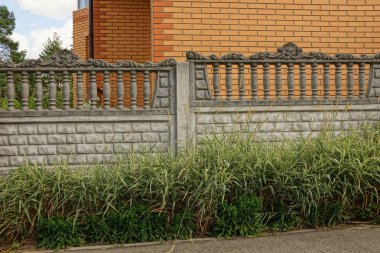 gri Beton çit dışında çim parçası