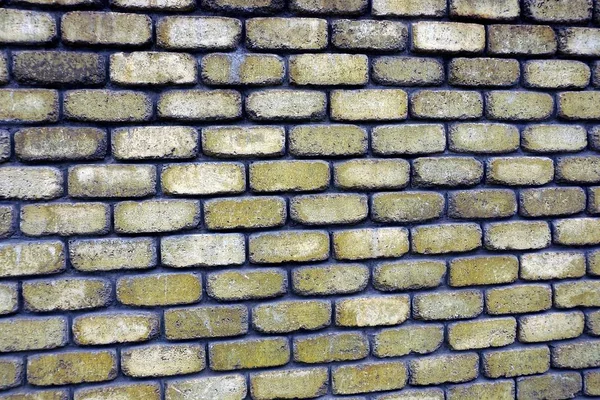 Szary Zielony Tekstura Stare Brudne Cegły Ścianie — Zdjęcie stockowe