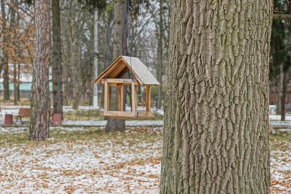 冬の公園で灰色の大きな木に茶色の空の鳥の送り装置 — ストック写真
