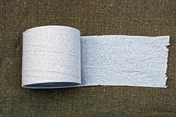 Rollo Gris Papel Higiénico Sobre Tela Verde — Foto de Stock