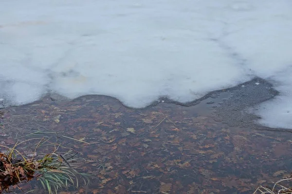 Tauwetter Auf Einem Teich Mit Wasser Und Weißeis — Stockfoto