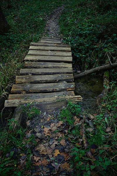 Ponte Legno Ruscello Nel Parco — Foto Stock