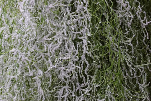 Texture Bianca Verde Nuovo Anno Arredamento Erba Artificiale Nella Neve — Foto Stock