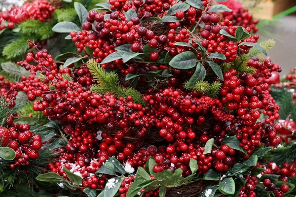 Beautiful New Year Wreath Red Berries Green Leaves — Stock Photo, Image