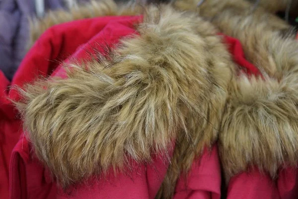 Gray Thick Fluffy Fur Collar Red Clothes — Stock Photo, Image