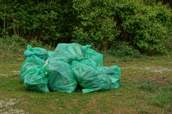 Green Bags Garbage Grass Trees — Stock Photo, Image