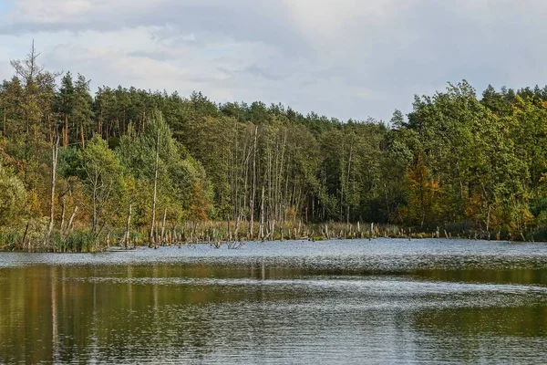 Deel Van Het Meer Herfst Bos Tegen Hemel — Stockfoto