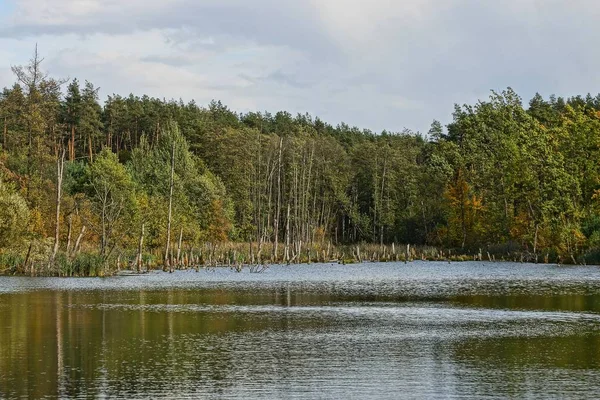 Parte Del Lago Bosque Otoño Contra Cielo —  Fotos de Stock