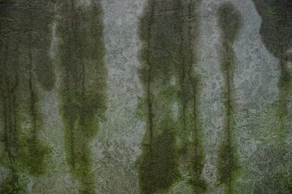 Textura Piedra Verde Gris Pared Hormigón Húmedo — Foto de Stock