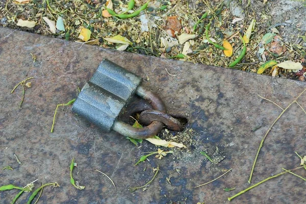 Großes Graues Vorhängeschloss Auf Grauem Eisen Schmutzige Türabdeckung — Stockfoto