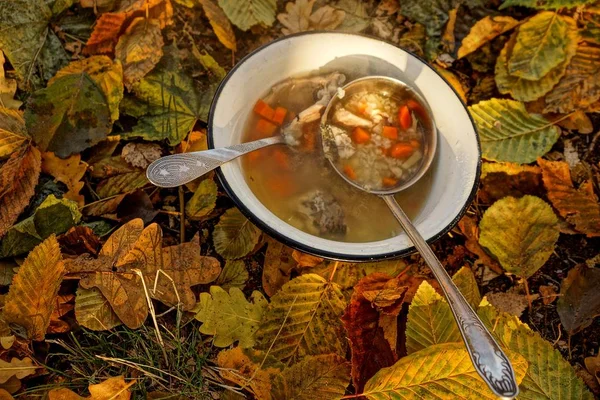 Рибний Суп Тарілці Сухому Листі — стокове фото