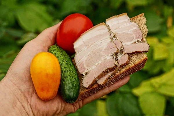 Sandwich Meat Bread Fresh Vegetables Palm — Stock Photo, Image