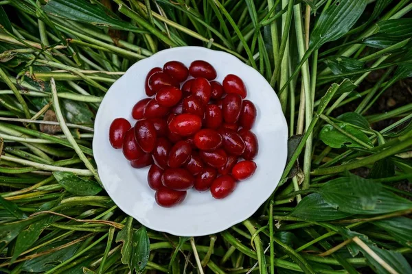 Beyaz Ile Kırmızı Cornel Çilek Yemek Çimlere Yaprakları — Stok fotoğraf