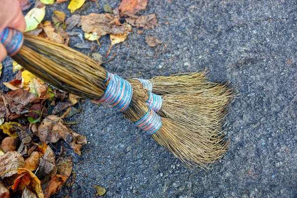 Mão Com Uma Vassoura Varre Folhas Secas Asfalto — Fotografia de Stock