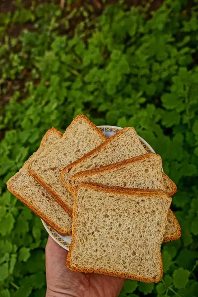 Нарезанный Хлеб Тарелке Фоне Зелени — стоковое фото