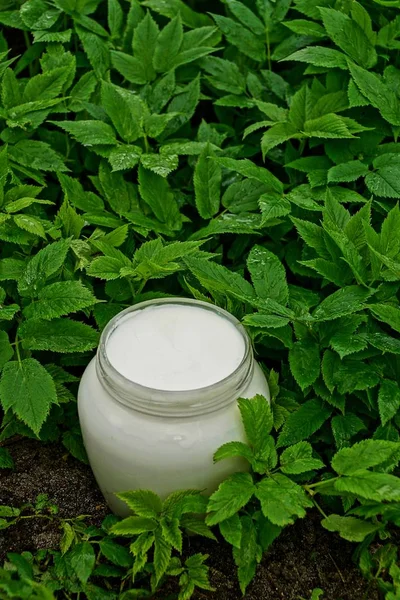 Свіже Молоко Скляній Банці Посеред Зеленої Рослинності — стокове фото