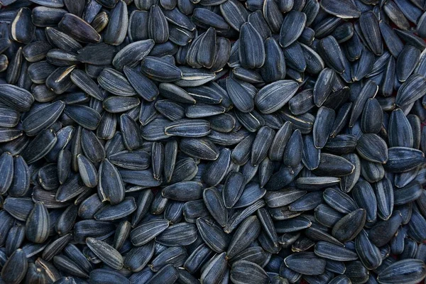 Texture of a bunch of black dry sunflower seeds